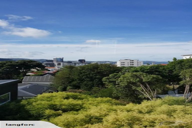 Photo of property in 46b Thompson Street, Mount Cook, Wellington, 6011