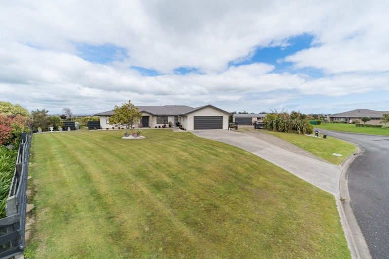 Photo of property in 49 Wapiti Avenue, Feilding, 4775