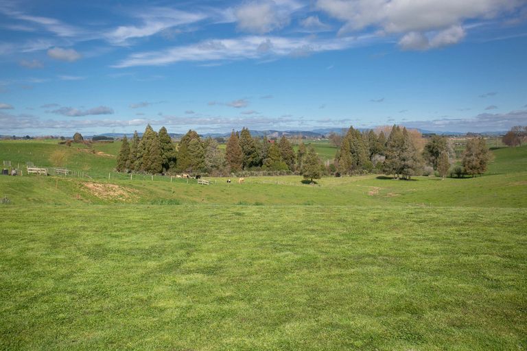 Photo of property in 228 Puahue Road, Te Awamutu, 3875