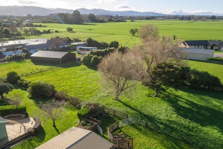 Photo of property in 51 Jellicoe Street, Greytown, 5712