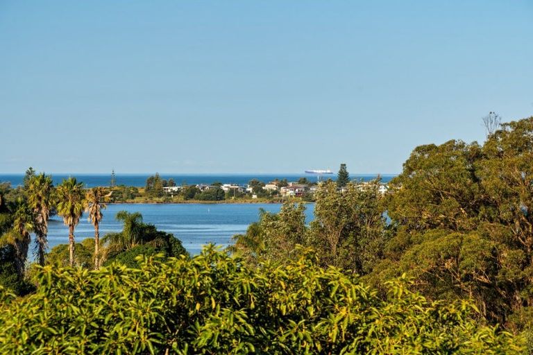 Photo of property in 117 Athenree Road, Athenree, Katikati, 3177