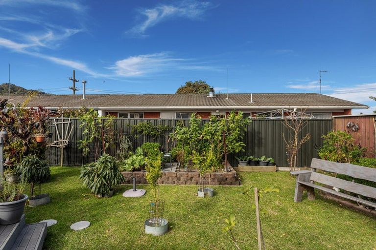 Photo of property in 254 King Street, Whakatane, 3120
