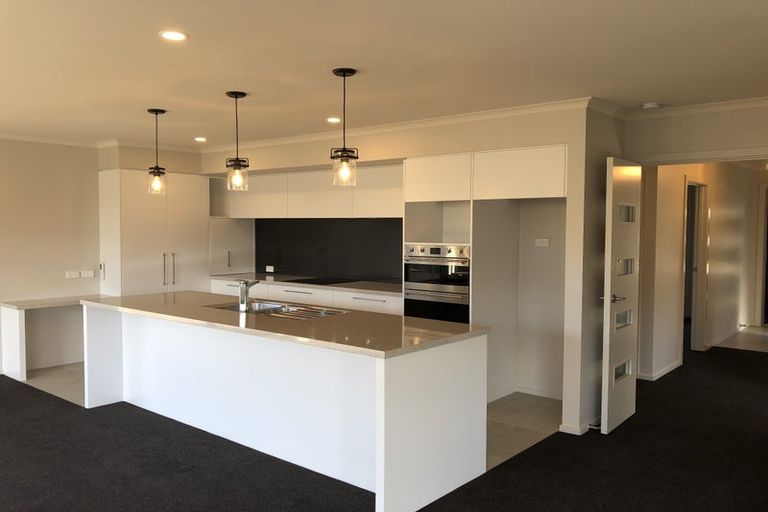 Photo of property in 3 Feijoa Way, Richmond, 7020