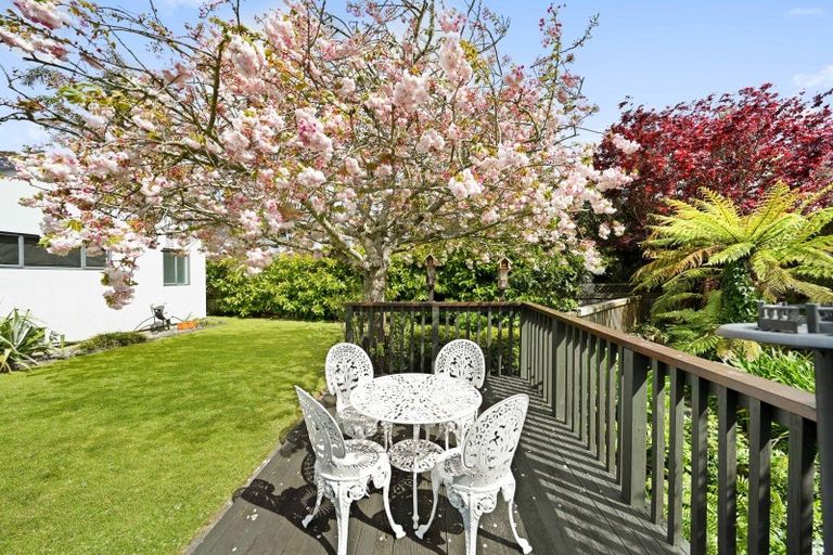 Photo of property in 19 Montrose Crescent, Huntington, Hamilton, 3210