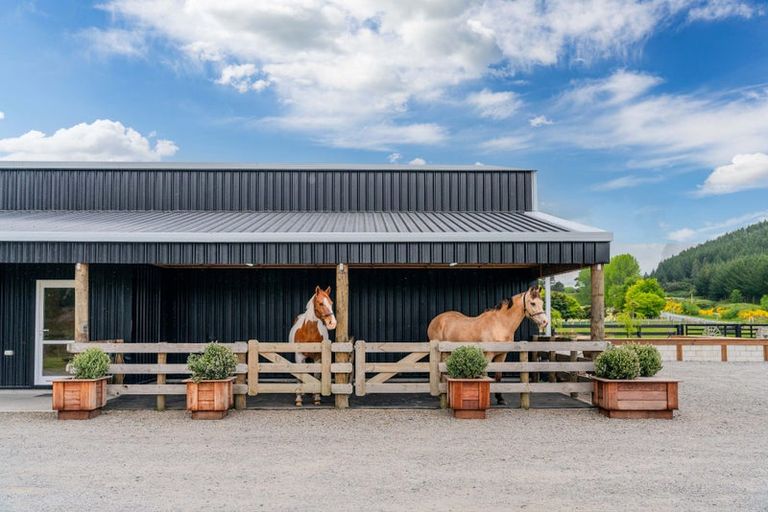 Photo of property in 437 Poihipi Road, Wairakei, Taupo, 3377