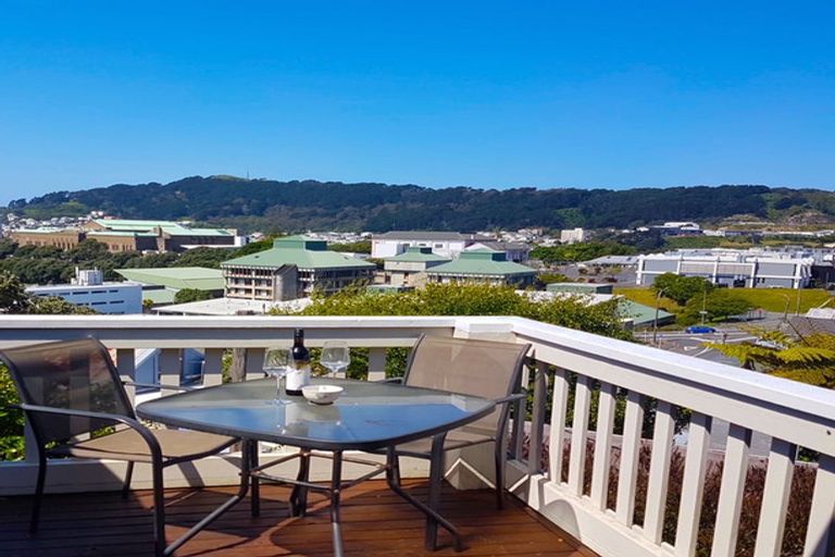 Photo of property in 53b Hankey Street, Mount Cook, Wellington, 6011