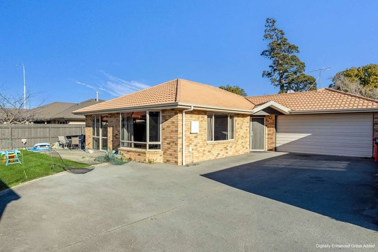 Photo of property in 3a Dillon Street, Blenheim, 7201
