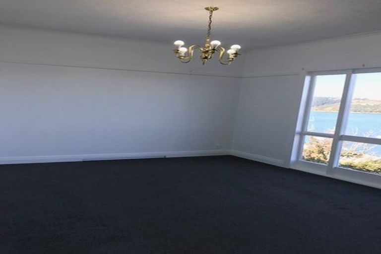 Photo of property in 55 Overtoun Terrace, Hataitai, Wellington, 6021