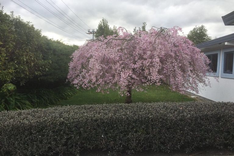 Photo of property in 5 North Street, Greytown, 5712