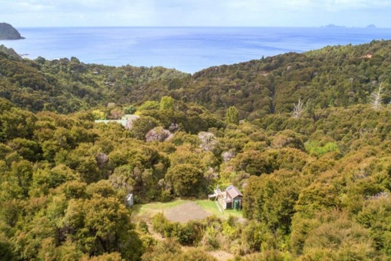 Photo of property in 125b Sailors Grave Road, Pumpkin Hill, Whitianga, 3591