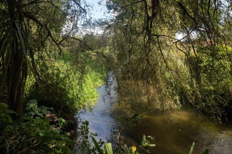 Photo of property in 55 Martin Street, Utuhina, Rotorua, 3015