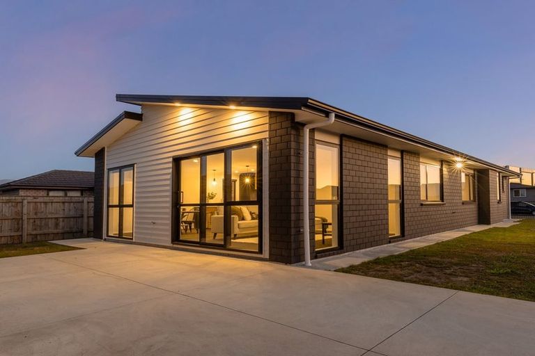 Photo of property in 104 Hinemoa Street, Levin, 5510