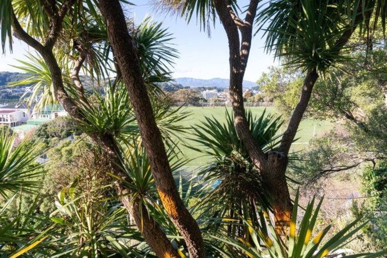 Photo of property in 94 Rolleston Street, Mount Cook, Wellington, 6021