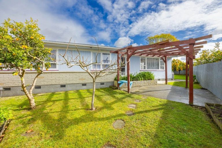 Photo of property in 24 Essex Street, Tamatea, Napier, 4112