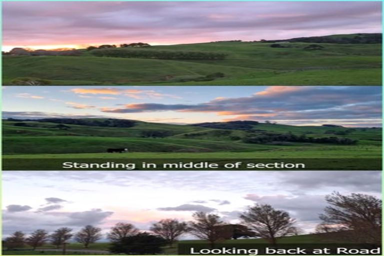 Photo of property in 1386 Buckland Road, Karapiro, Cambridge, 3496