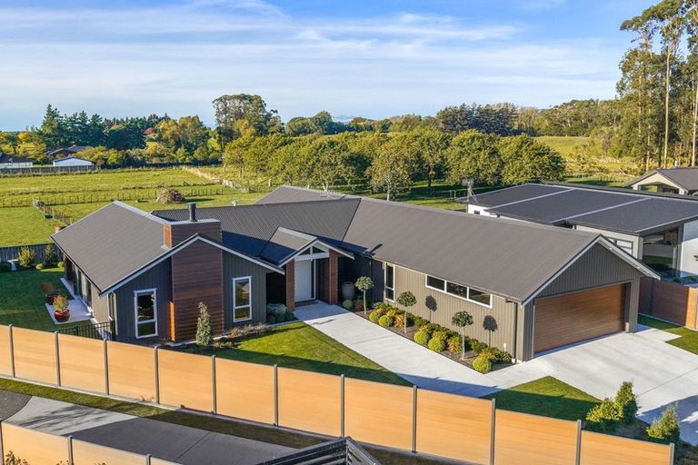 Photo of property in 25 Phoenix Palms Grove, Levin, 5510