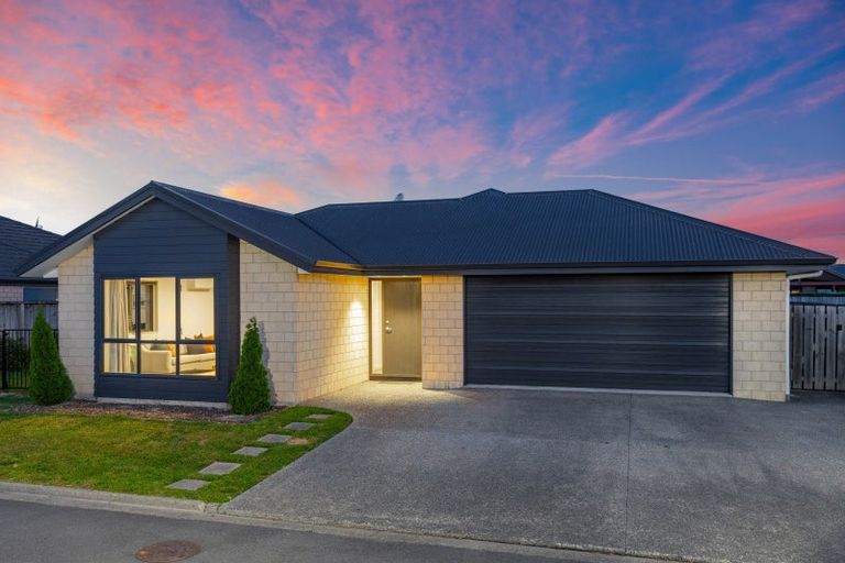 Photo of property in 23b Tremorne Avenue, Blenheim, 7201