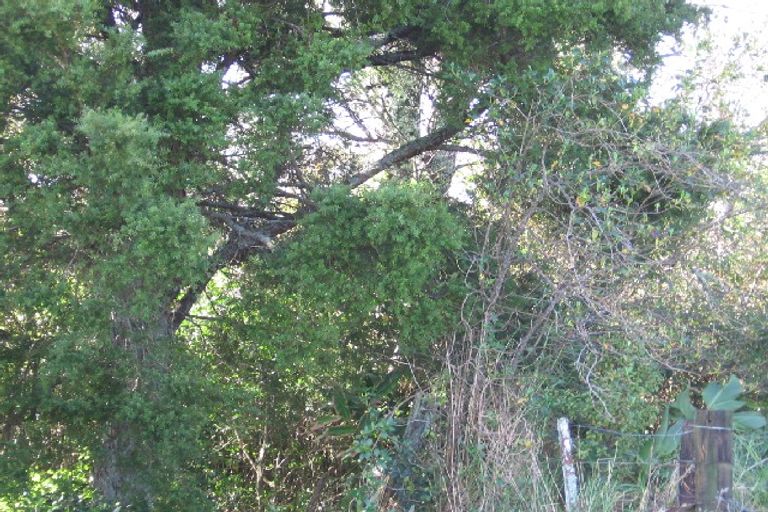 Photo of property in 13 Bennett Street, Warkworth, 0910