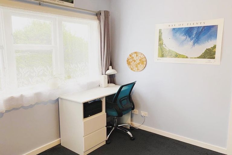 Photo of property in 117 Rakau Road, Hataitai, Wellington, 6021