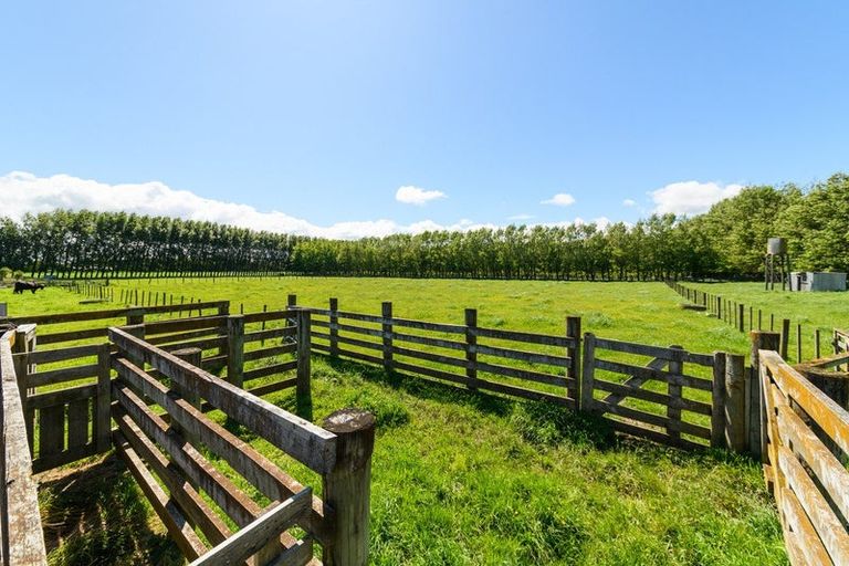Photo of property in 991 Parewanui Road, Parewanui, Bulls, 4894