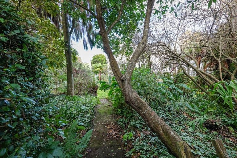 Photo of property in 20 Melrose Street, Roslyn, Dunedin, 9010
