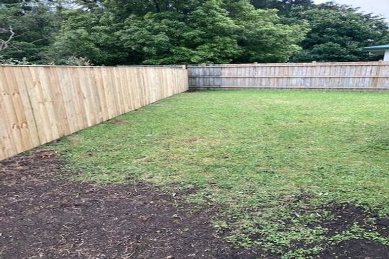 Photo of property in 91a Rimu Street, Maeroa, Hamilton, 3200