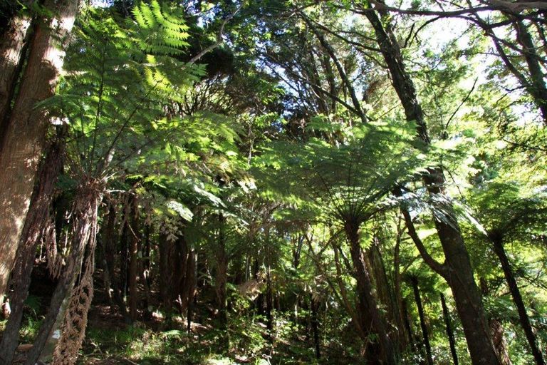 Photo of property in 42b Dutton Road, Peria, Kaitaia, 0482