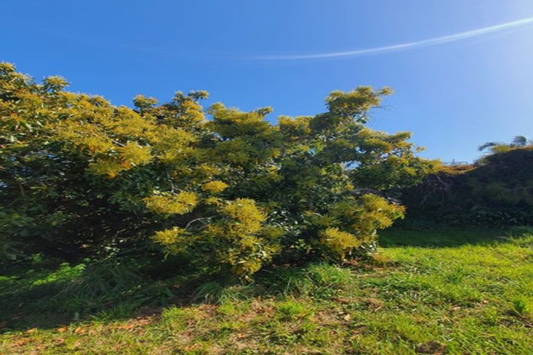 Photo of property in 229 Athenree Road, Athenree, Waihi Beach, 3177