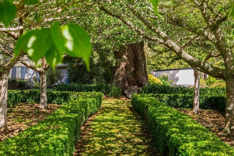 Photo of property in 977 Kakariki Road, Eketahuna, 4995