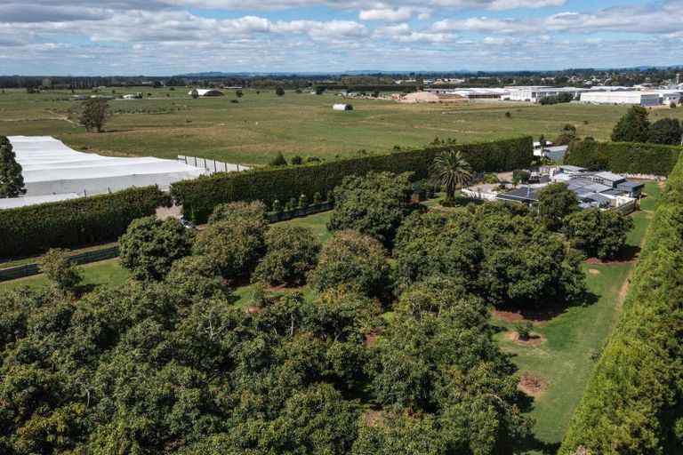 Photo of property in 13 Ronalds Lane, Te Puke, 3187