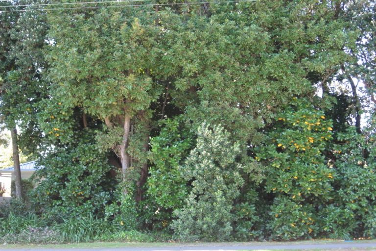 Photo of property in 513a Aberdeen Road, Te Hapara, Gisborne, 4010