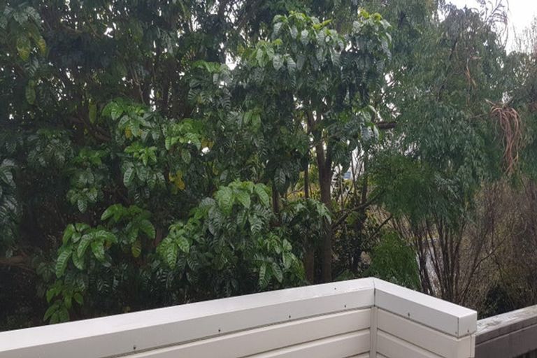 Photo of property in 8b Schnapper Rock Road, Schnapper Rock, Auckland, 0632