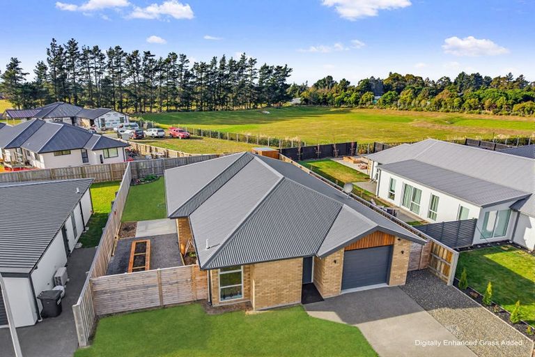 Photo of property in 37 Greig Crescent, Amberley, 7410