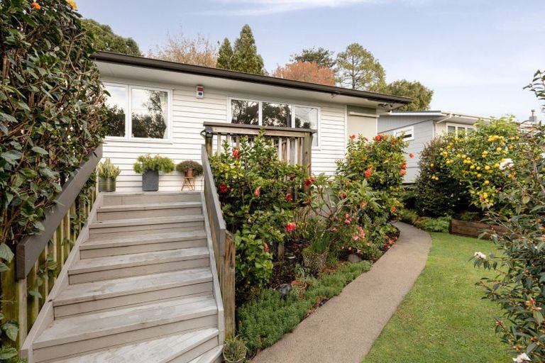 Photo of property in 28 Harrier Street, Parkvale, Tauranga, 3112