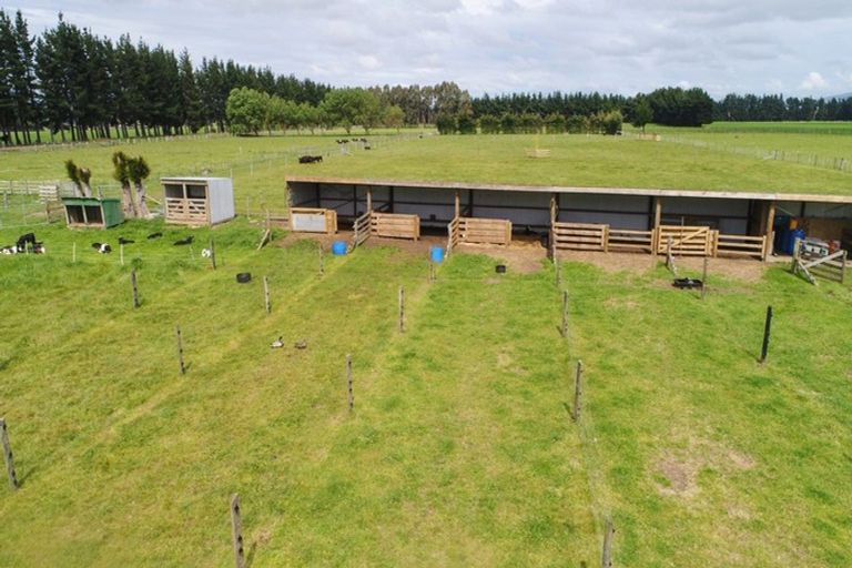 Photo of property in 39 Laws Road, Dannevirke, 4972