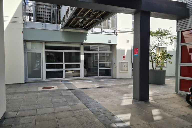 Photo of property in Hanson House, 27u2 Hanson Street, Mount Cook, Wellington, 6021