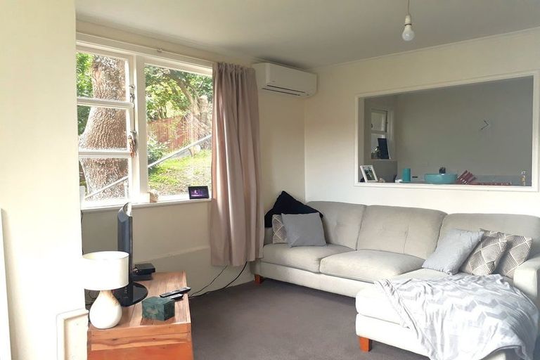 Photo of property in 111 Hamilton Road, Hataitai, Wellington, 6021