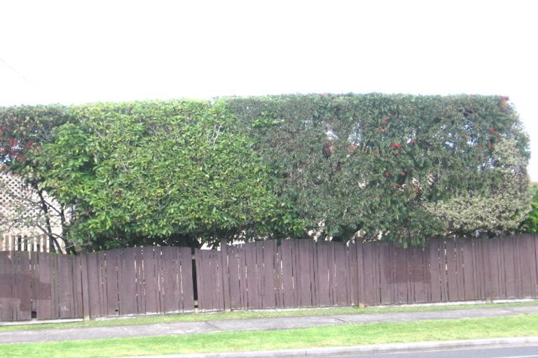 Photo of property in 48 Forest Hill Road, Henderson, Auckland, 0612