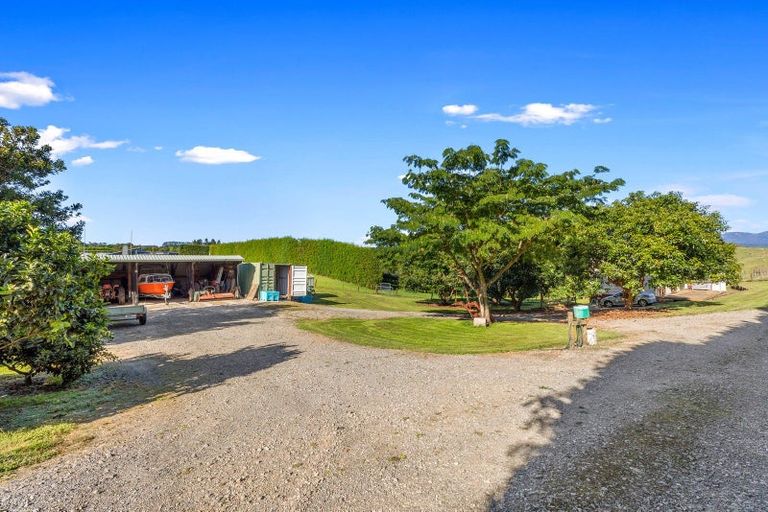 Photo of property in 342 Youngson Road, Whakamarama, Tauranga, 3179