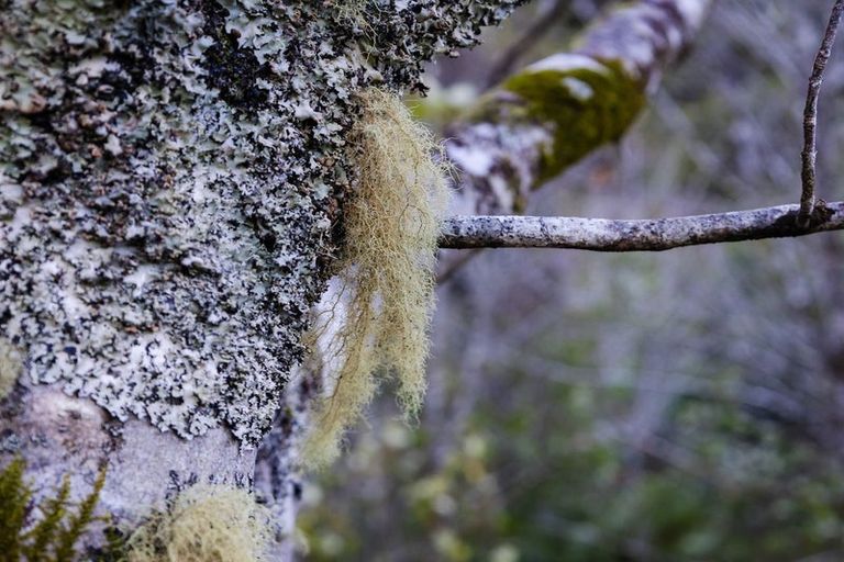 Photo of property in 754 Rutherglen Road, Marsden, Greymouth, 7872