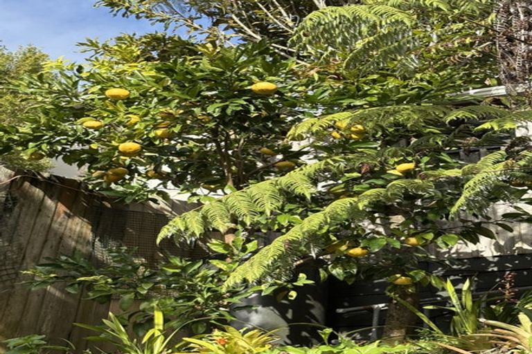 Photo of property in 1/307 East Coast Road, Mairangi Bay, Auckland, 0630