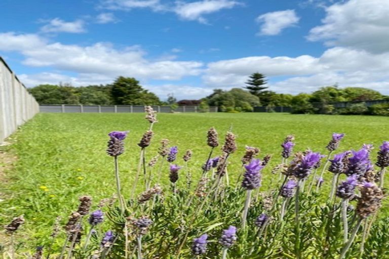 Photo of property in 4 Ngaio Street, Levin, 5510