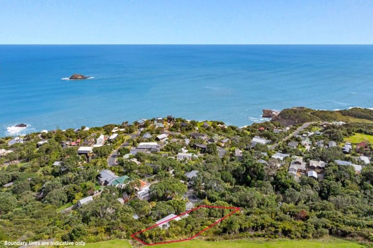 Photo of property in 119 Waitea Road, Muriwai, 0881