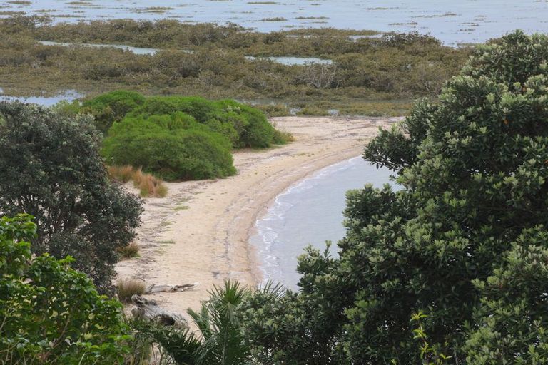 Photo of property in 40 Gill Avenue, Te Atatu Peninsula, Auckland, 0610