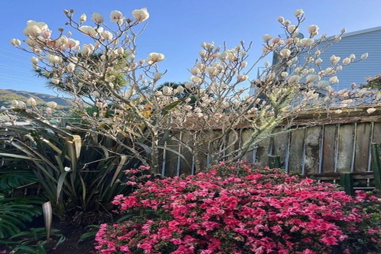 Photo of property in 191a Wilton Road, Wilton, Wellington, 6012