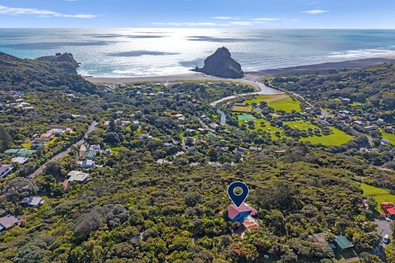 Photo of property in 100 Seaview Road, Piha, New Lynn, 0772