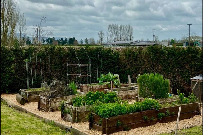 Photo of property in 574 Wardville Road, Wardville, Waharoa, 3474