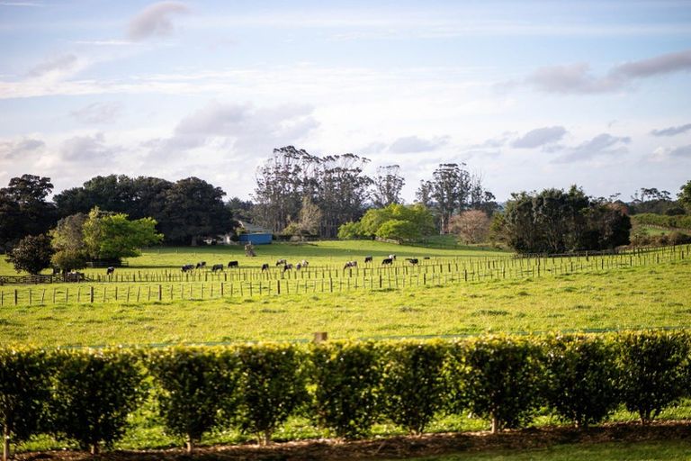 Photo of property in 355a Waikaramu Road, Waimate North, Kaikohe, 0472