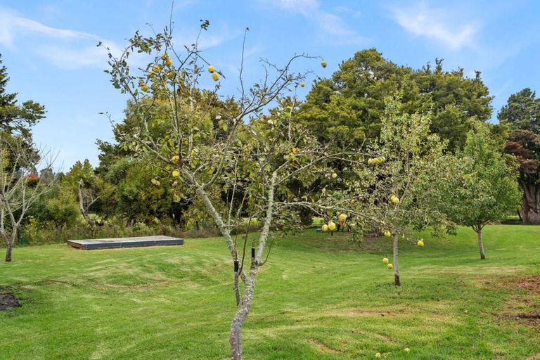 Photo of property in 6 Tavinor Road, Otaika, Whangarei, 0170