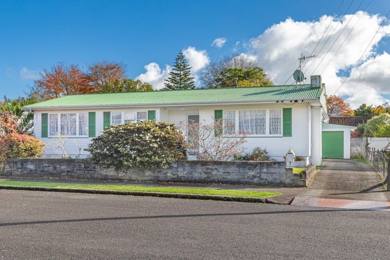 Photo of property in 19 Green Avenue, Levin, 5510